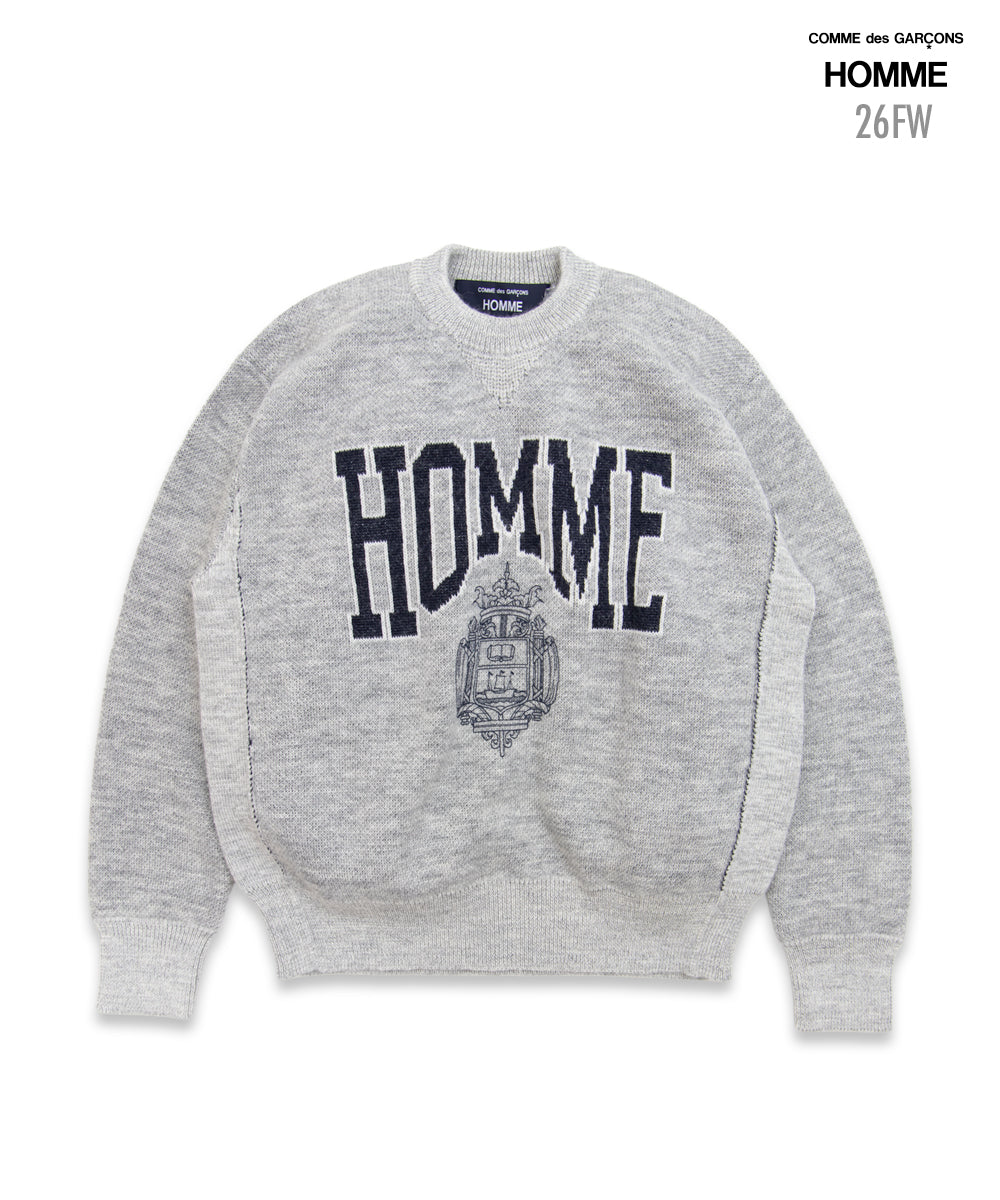 COMME des GARCONS HOMME / HR-N006 / Wool Jacquard Crew Neck Knit / 26FW / Gray