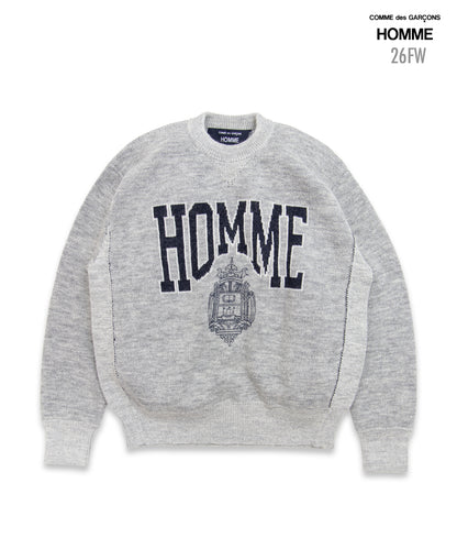 COMME des GARCONS HOMME / HR-N006 / Wool Jacquard Crew Neck Knit / 26FW / Gray